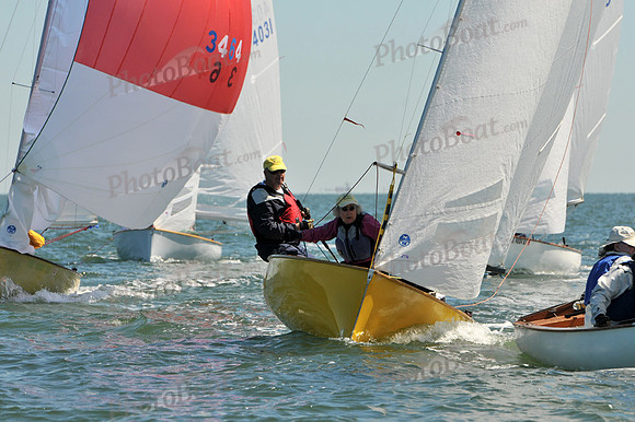 2012 Thistle Midwinters A 563
