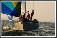 proof_2010 Gov Cup B 446