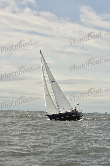 2024 Vineyard Race A_1652
