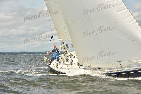 2024 Vineyard Race A_1670