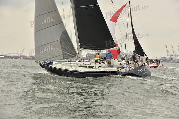 2024 ALIR_0869