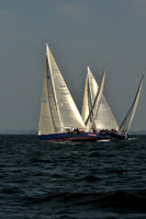 2010_AYC_Fall_1189