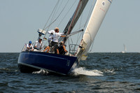 2011 Screwpile A 310
