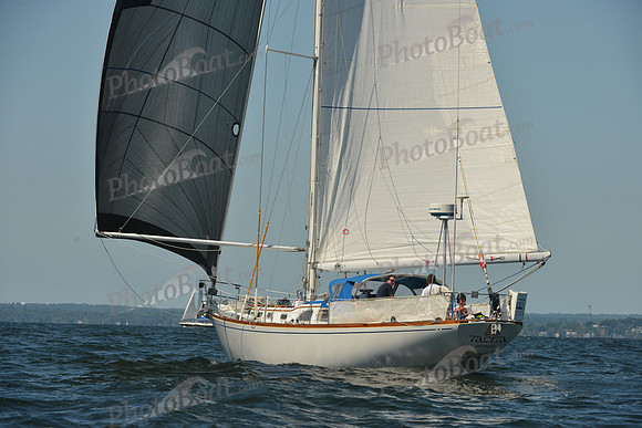 2015 Vineyard Race C 349