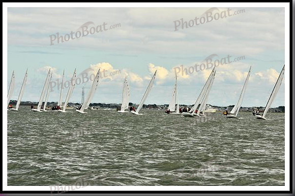 proof_2010_EScows_B 066