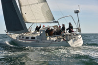 2024 Figawi 2364