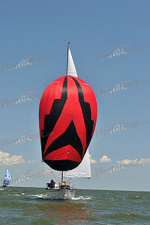 2014 Southern Bay Race Week C 1982