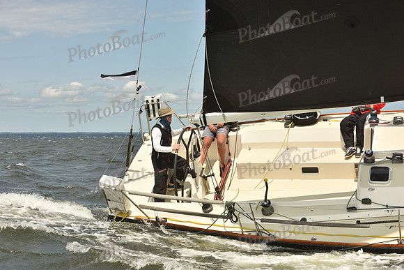 2024 Vineyard Race A_2350