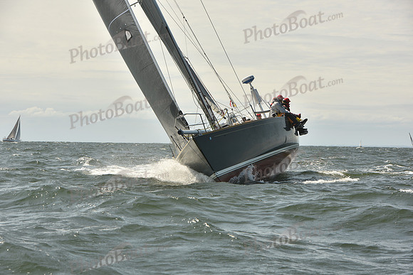 2024 Vineyard Race A_0686