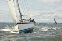 2024 Vineyard Race A_1890