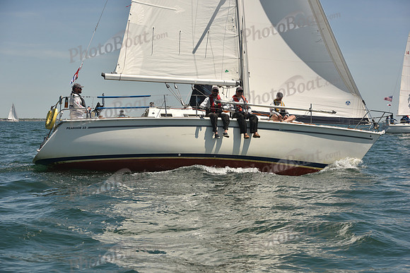 2024 Figawi 0378