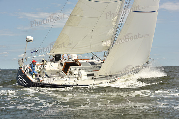 2024 Vineyard Race A_1676
