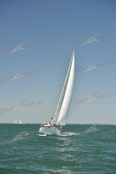 2023 Figawi 1138