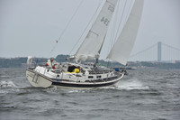 AMC_3231