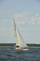 2024 Vineyard Race A_1233