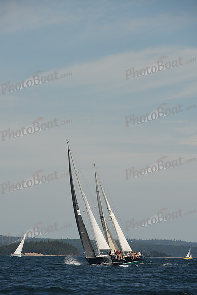 2016 Chester Race Week A_0442