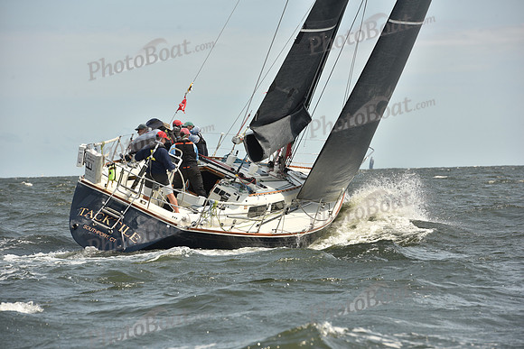 2024 Vineyard Race A_1826