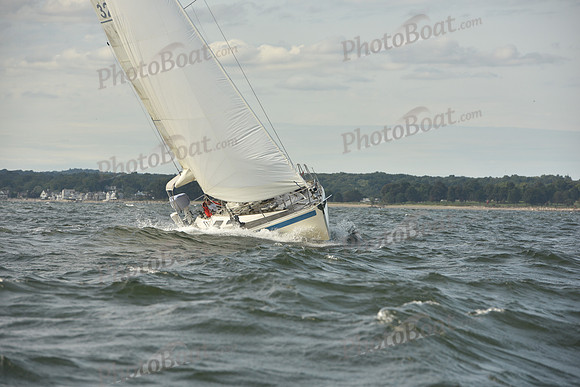 2024 Vineyard Race A_1243