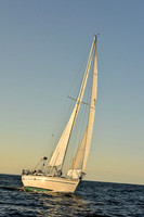 2016 Newport Bermuda Race_2778