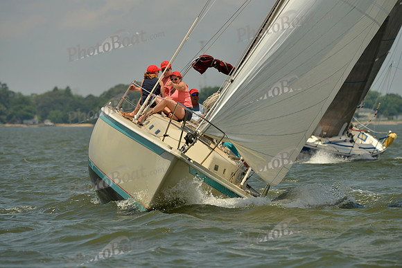 2016 Southern Bay Race Week F_1233