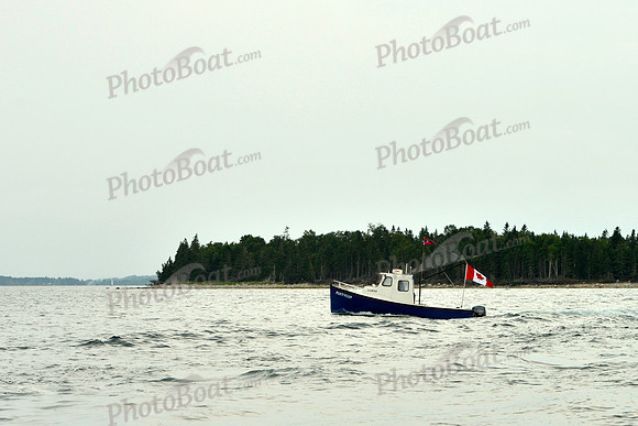2016 Chester Race Week E_0214