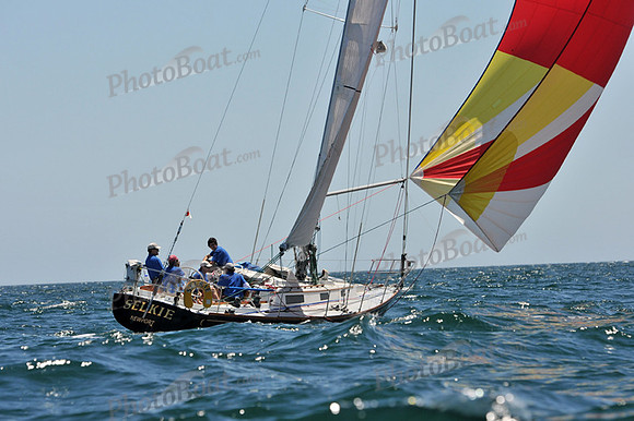 2012 Newport Bermuda 368