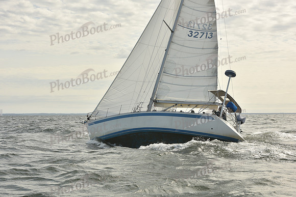 2024 Vineyard Race A_1262