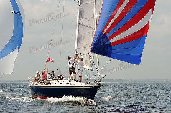 2013 Vineyard Race A 867