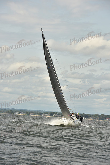 2024 Vineyard Race A_2048