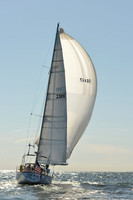 2015 Vineyard Race C 574