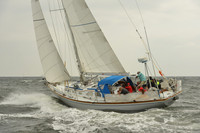 2015 Vineyard Race A 110