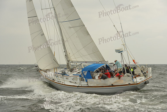 2015 Vineyard Race A 110