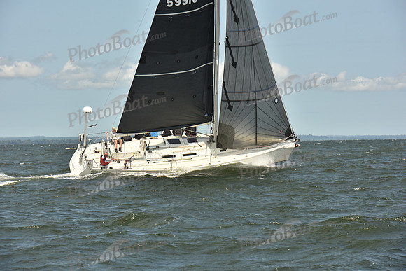 2024 Vineyard Race A_2494