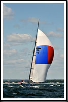 proof_2010_Vineyard_Race_1542