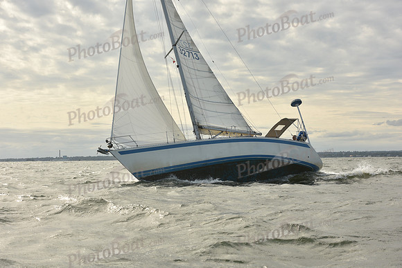 2024 Vineyard Race A_1257