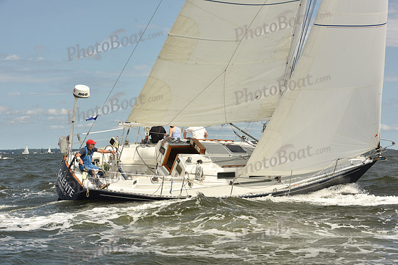 2024 Vineyard Race A_1673