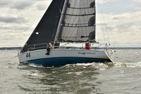 2024 Vineyard Race A_1691