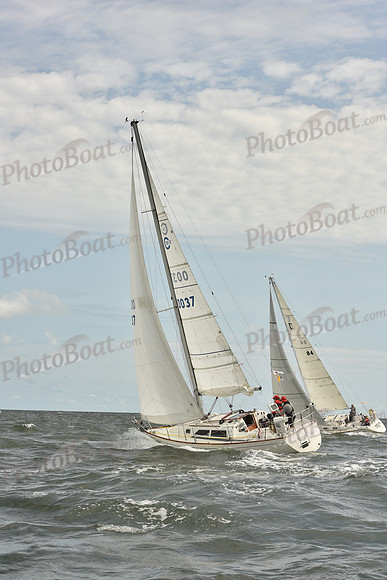 2024 Vineyard Race A_1435
