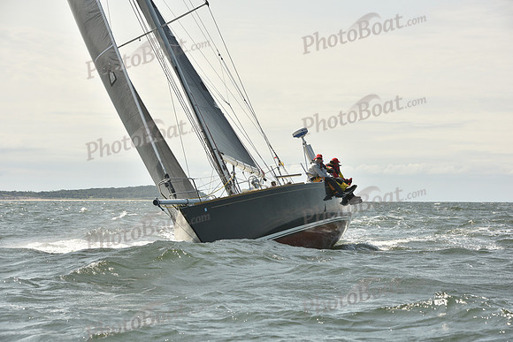 2024 Vineyard Race A_0689