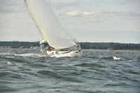 2024 Vineyard Race A_1242