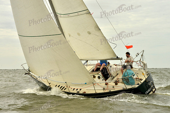2019 Charleston Race Week I_0438