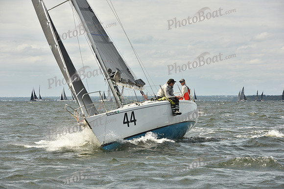2024 Vineyard Race A_1687