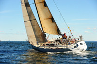 2014 Vineyard Race A 806