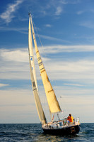 2014 Newport Bermuda A 2462