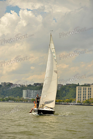 2017 NY Architects Regatta A_0066
