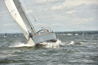 2024 Vineyard Race A_1723