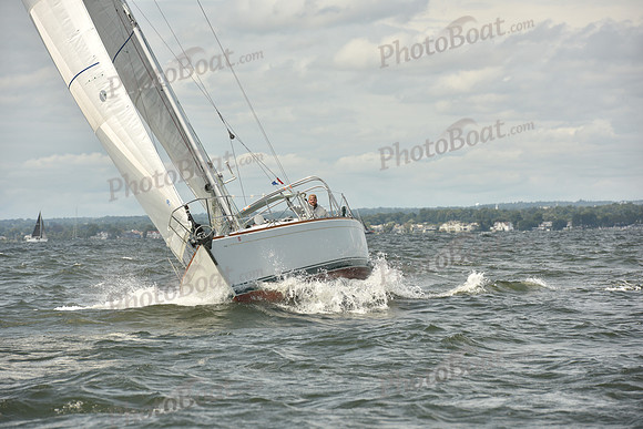 2024 Vineyard Race A_1723