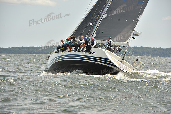 2024 Vineyard Race A_2400