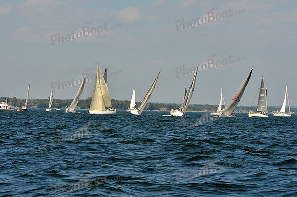 2010_AYC_Fall_3474