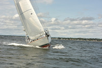 2024 Vineyard Race A_1732